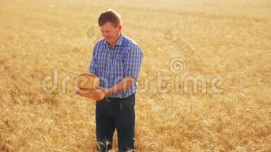<strong>老农</strong>夫面包师拿着一个金色的面包和面包在成熟的麦田。 慢动作视频。 收获时间。 老面包师